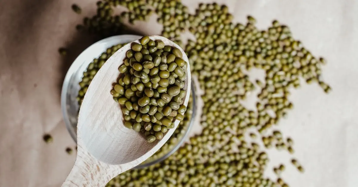 Top Vegan Protein Sources: Essential Buying Guide